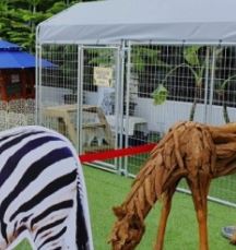 검단신도시일상에 빠져사는 노잼 일상러
