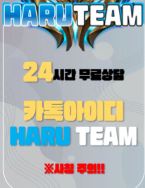 No.1 롤대리 하루팀 상위티어 갈수 있어요