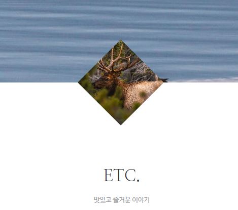 태상의 미니샵이 일상형 콘텐츠를 주도하는 방식