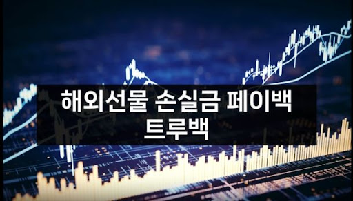 트루백: 해외선물미니업체의 전문가들과 함께 하는 투자 여정