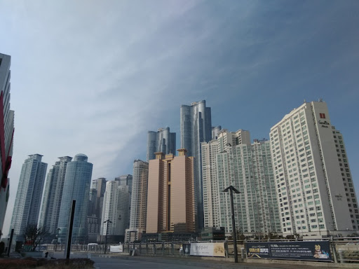 솔직한 검단일상